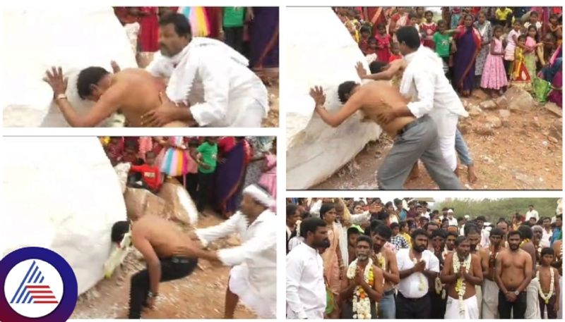 Vijayapura Gani village someshwara fair some devotees are Collision the big rock sat