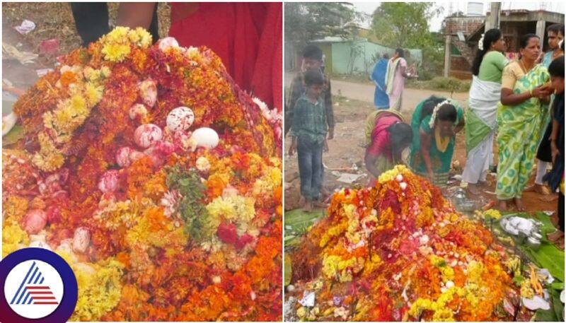 Chamarajanagar devotees chicken blood and eggs putting in to snake hutta sat