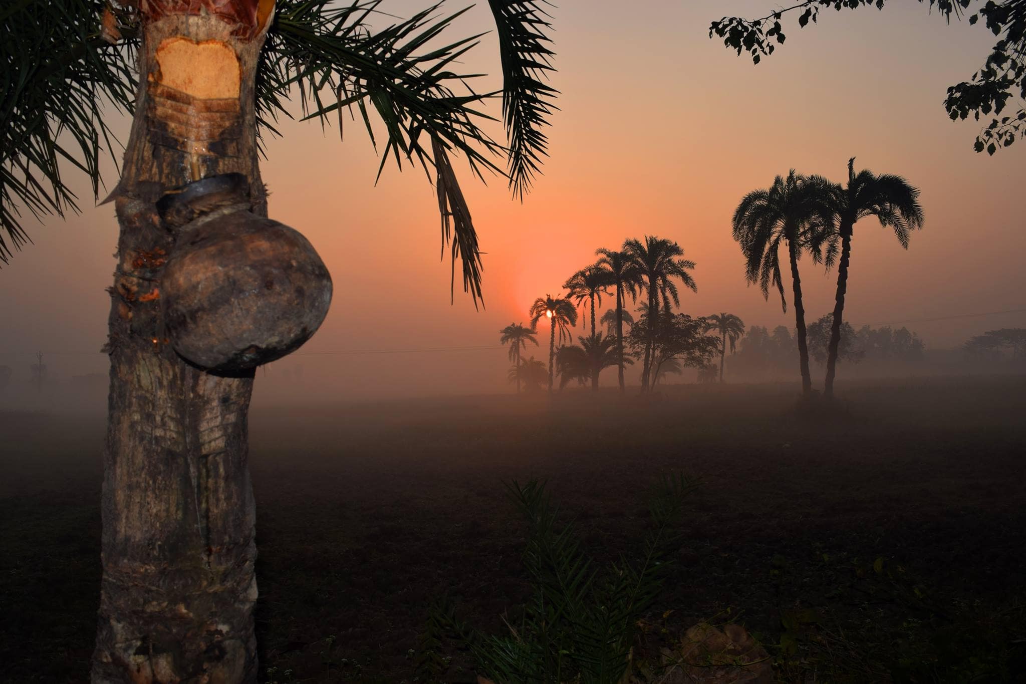 Kolkata Weather LATEST update: City experiences COLDEST day of season; fog disrupts travel ATG