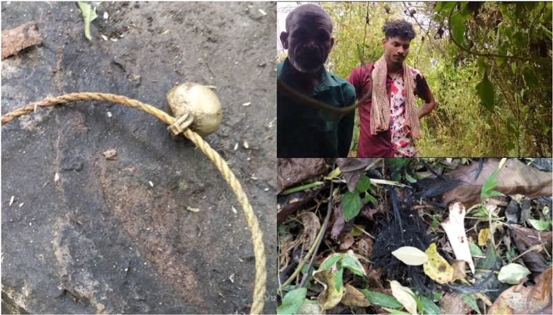 unknown creature eats the goat that was left to graze natives of wayanad bavali said SSM