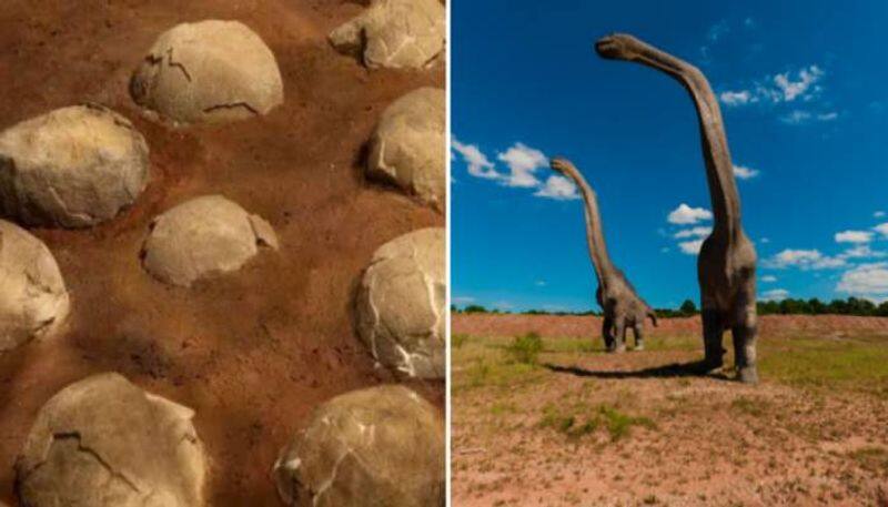 india madhya pradesh family s sacred totem kuldevta turns out to be dinosaur egg ash