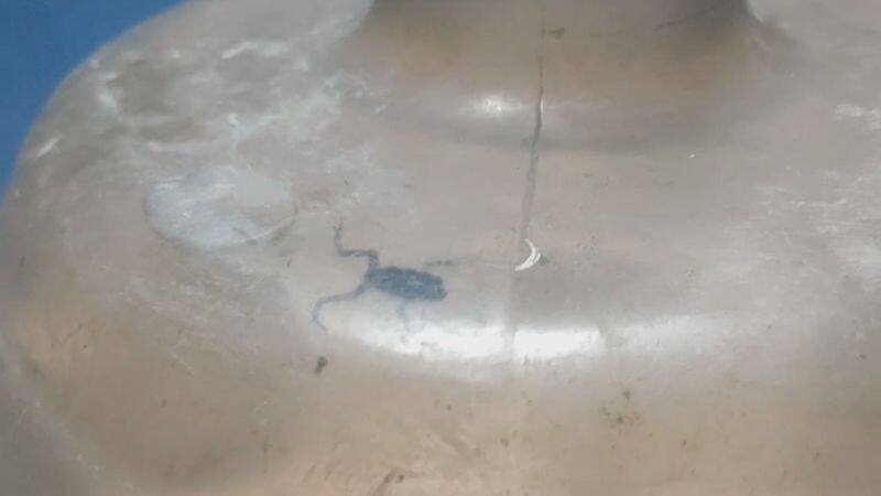 live frog found in purified water bottle in mayiladuthurai vel