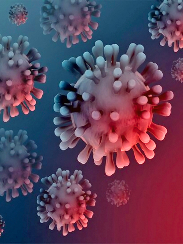 Covid JN1 virus increase  125 positives, three deaths in a single day at karnataka rav