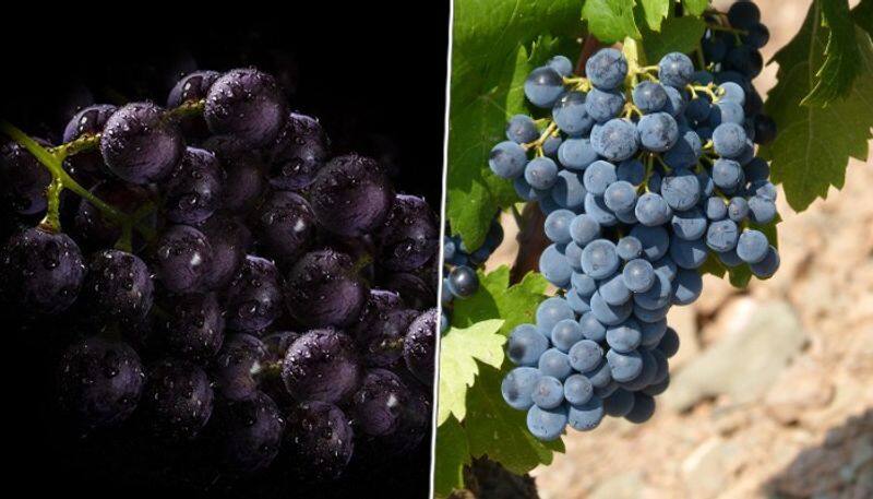 Heart health to Cancer prevention: 7 health benefits of Black Grapes ATG EAI