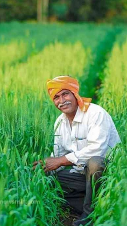 Kisan Credit Card: 4% ब्याज पर 3 लाख रुपये का लोन, ऐसे करें अप्लाई
