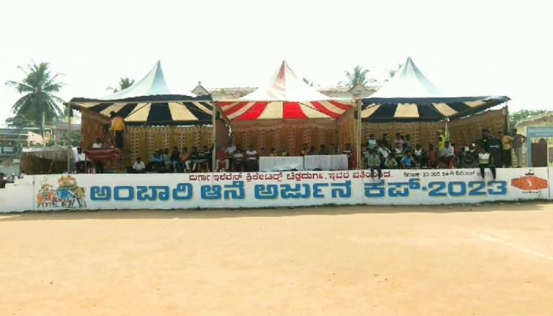 Cricket Tournament Organized in Memory of Arjuna Elephant in Chitradurga grg 