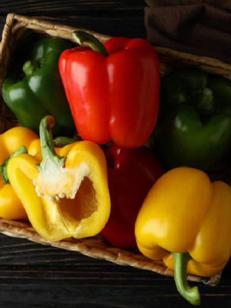 how to grow Capsicum in home rlp