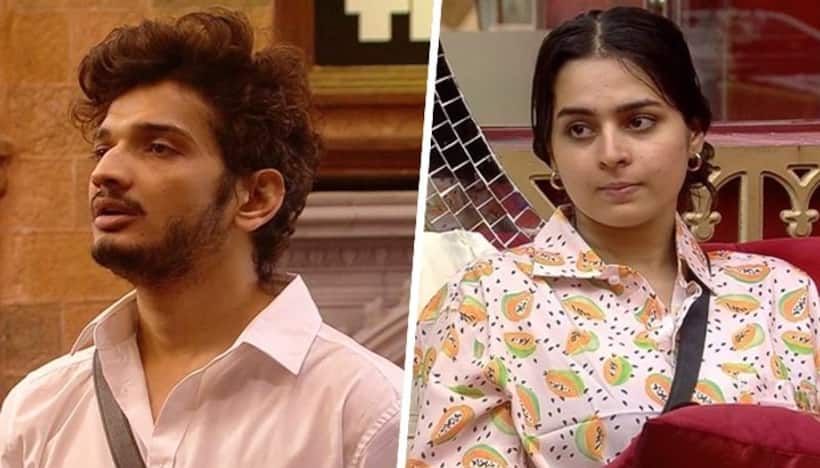 Bigg Boss 17 update: Ayesha Khan refutes seeing Munawar Faruqui's face post show; Here what said