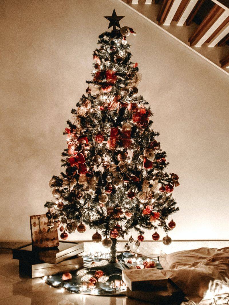 Christmas 2023: 7 reasons and facts we decorate Christmas trees rkn