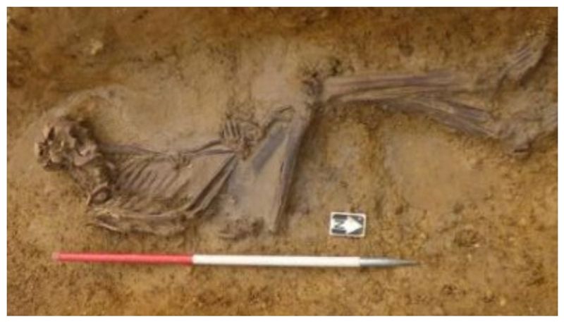 2000 years old skeleton s mystery solved by dna test bkg