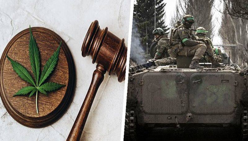 Ukraine legalises use of marijuana in response to PTSD crisis amid war with Russia snt