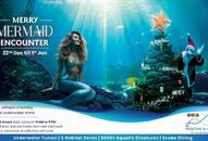 Merry Mermaid Encounter Show Splashes into VGP Marine Kingdom This Holiday Season  