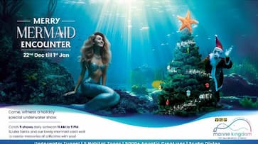 Merry Mermaid Encounter Show Splashes into VGP Marine Kingdom This Holiday Season  