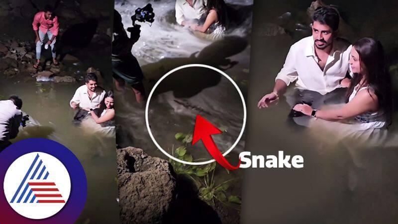 snake enters when to couple busy in pre wedding shoot amidst water sum