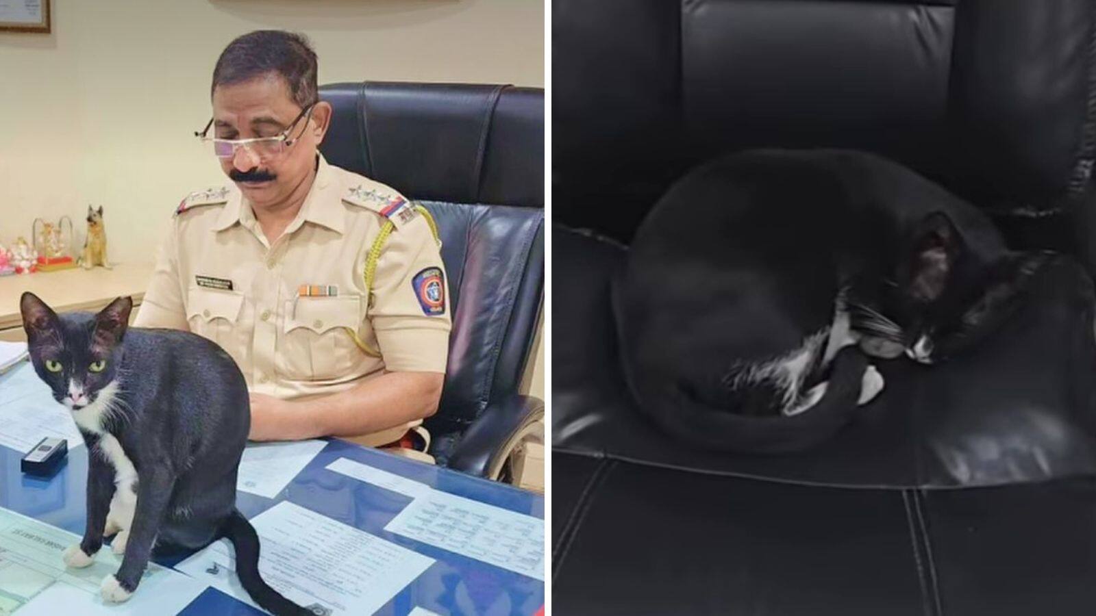 Sudhir Kudalkar