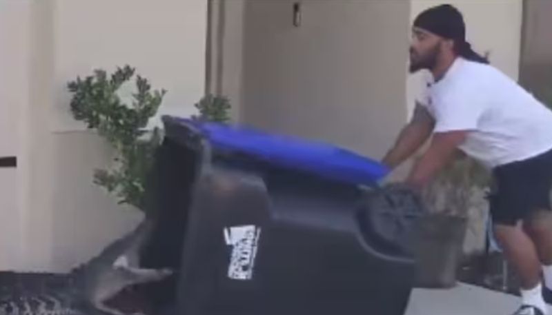 man capturing alligator by using garbage can