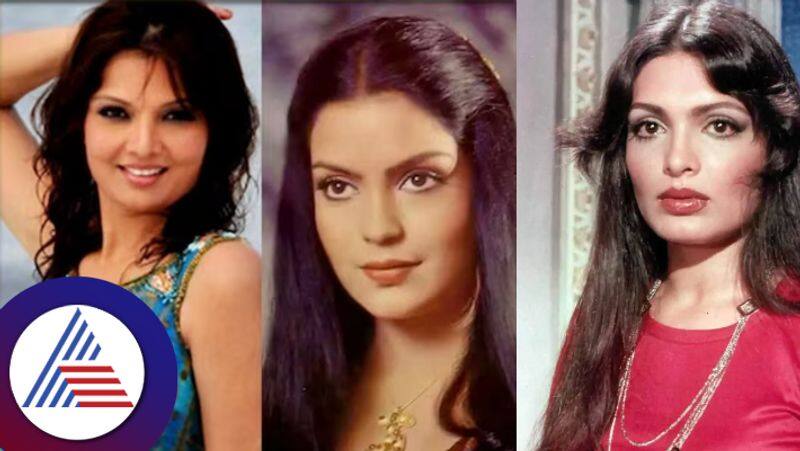 Popular Bollywood actresses who were lookalikes of each other, also shared one more thing in common Vin