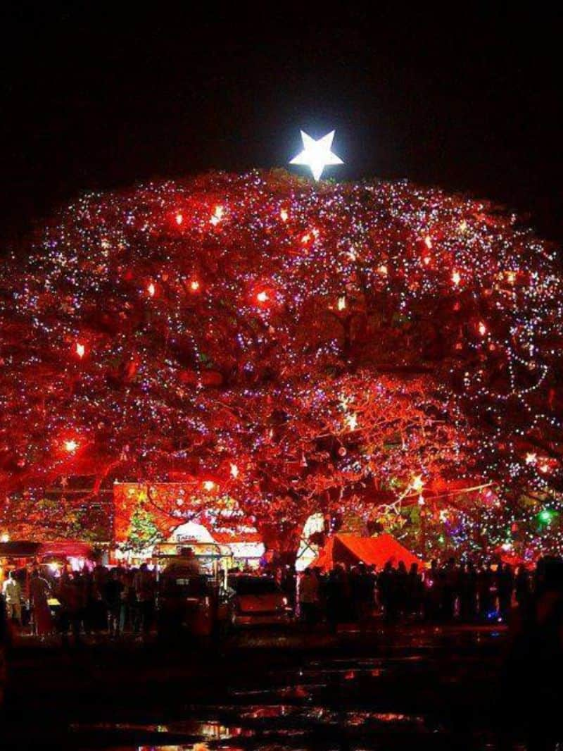 Christmas-New Year 2023: Know the grand event Cochin Carnival anr