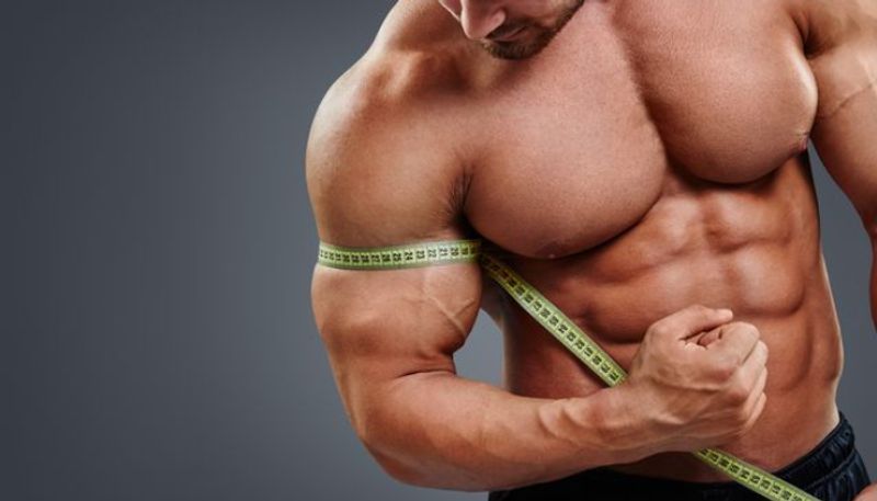 8 muscle building foods you can add to your diet