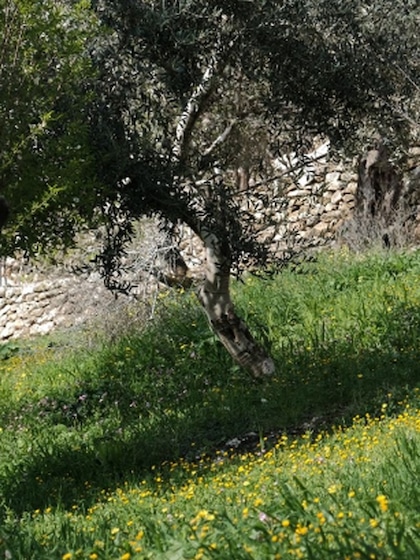 Nazareth