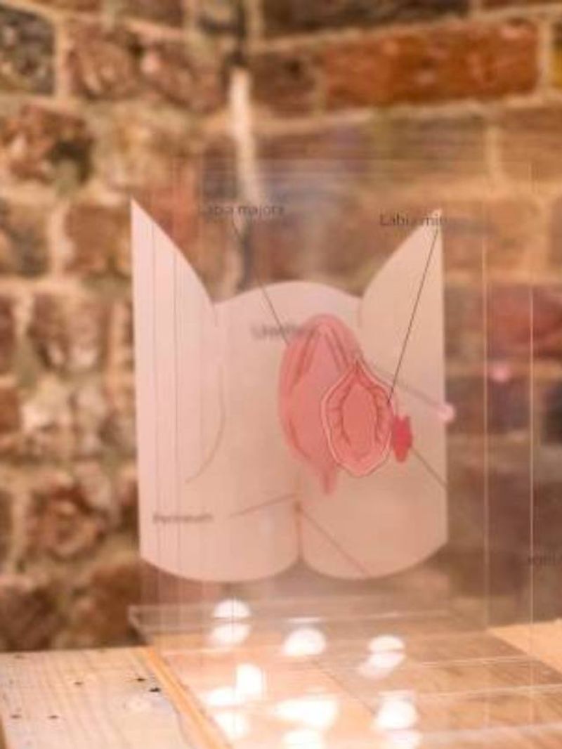 The world's fist Vagina Museum is situated in Camden, London