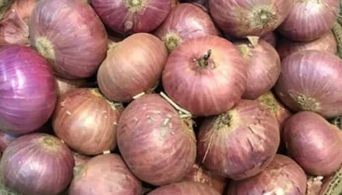 Onion Price Today