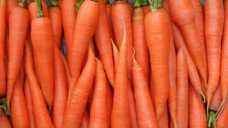 Carrot Price Today