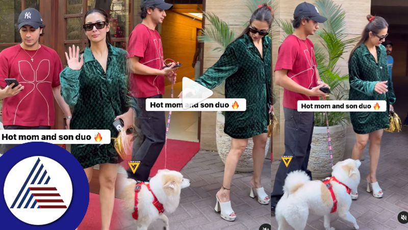 Malaika Arora walking with a dog after Arbaaz Khans re marriage  is getting trolled suc