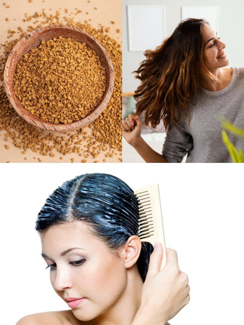 How to use fenugreek seeds and curd for hair growth and dandruff rkn