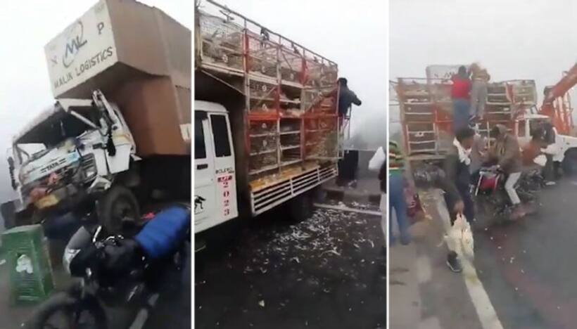 Viral video: Multi vehicle crash at Yamuna Expressway creates chaos, people steal chicken (WATCH)
