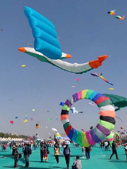 International Kite Festival