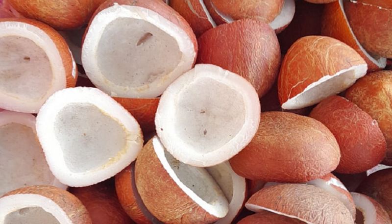 Tumkur  Demand for construction of Coconut, Tamarind Park in the district snr