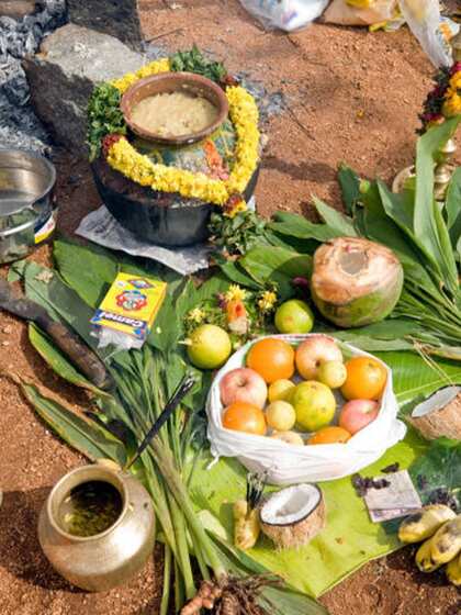 Pongal, Tamil Nadu