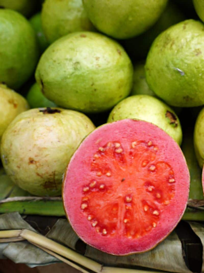 amazing health benefits of eating red guava in tamil mks