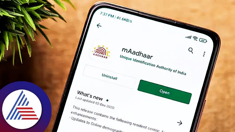 maadhaar app how to create a profile and what are the benefits 