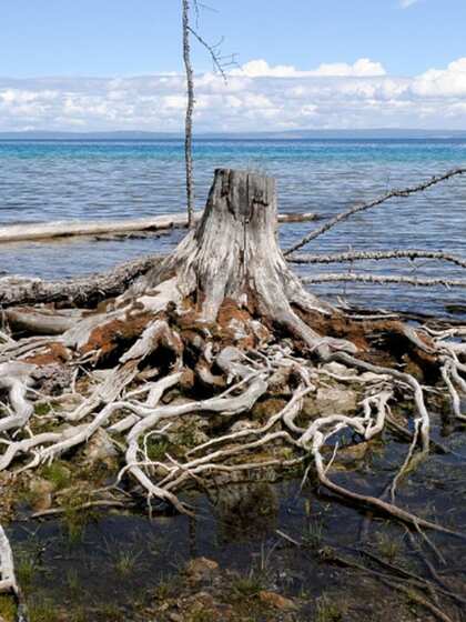 Khuvsgul Lake