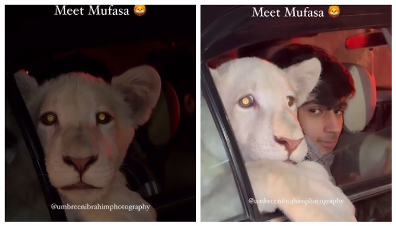 Meet mufasa at red light signal in Pakistan