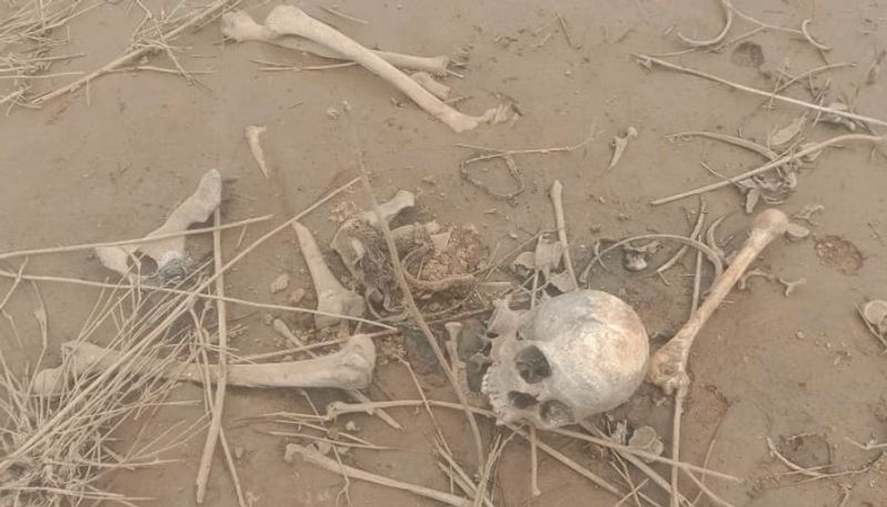 Skeleton Found at Kunigal in Tumakuru grg 