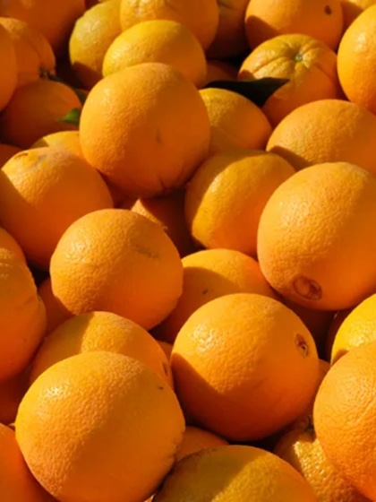 Anti-Aging Properties: