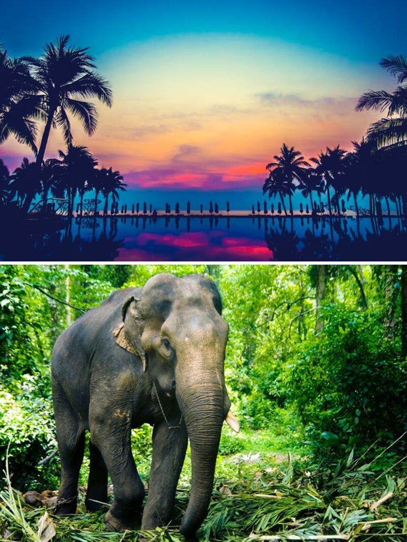 Munnar to Alleppey-7 New Year weekend getaways from Kerala  RBA