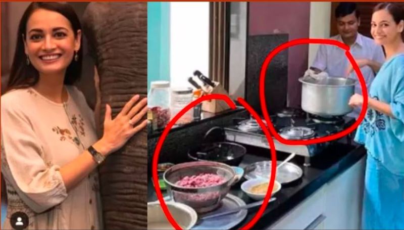 Dia Mirza old photo goes viral after PETA India announce her Person Of The Year in which she Cooking Meat akb