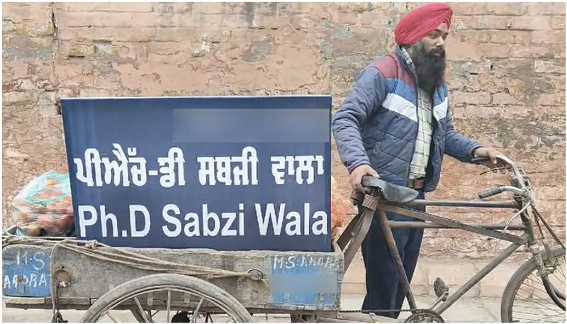 punjab man with phd and four master degree sells vegetable to meet meal prm 