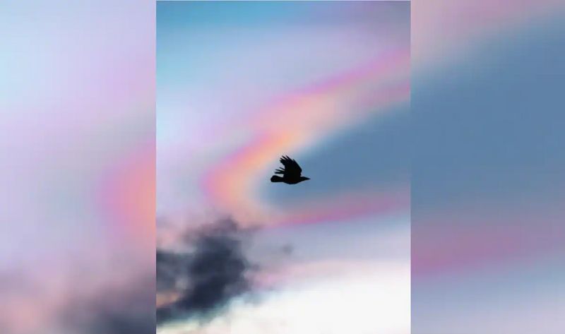 Scotland rare spectacle: Viral video showcases mesmerizing 'rainbow clouds' illuminating the sky snt