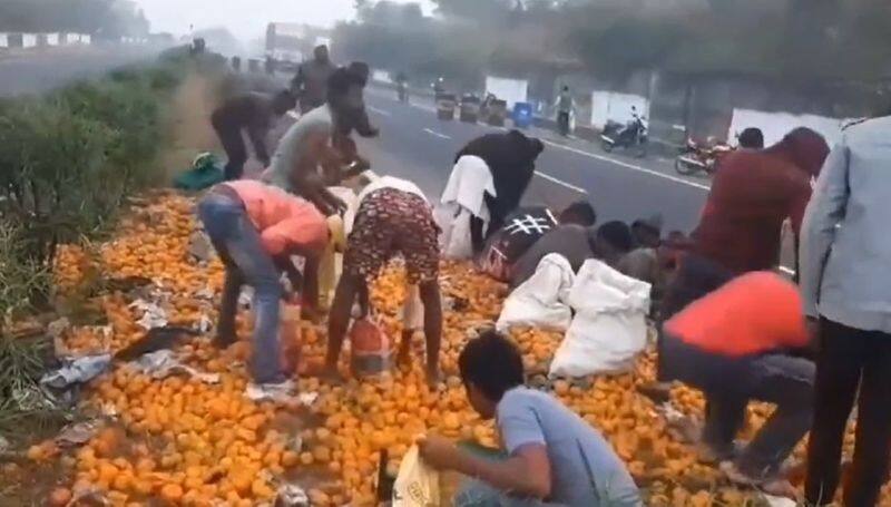 A vehicle of oranges overturned..Locals looted bags..Incident in Neradigonda, Adilabad..ISR