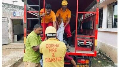 छोटा सा बिजनेसमैन - सड़क हादसे में 1000 लोगों की जान बचा चुका है