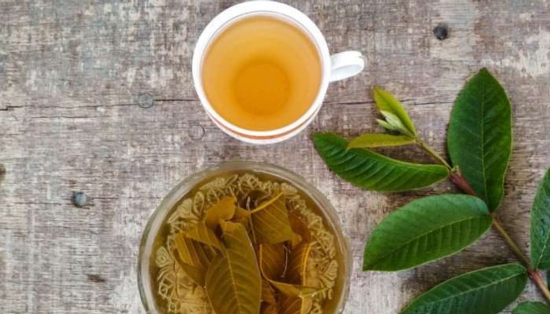 guava leaf water good for health