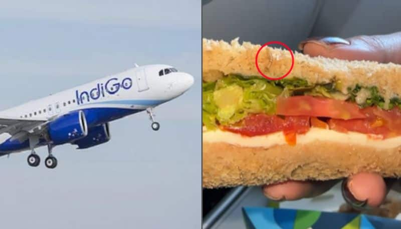 FSSAI Issues Show Cause Notice To IndiGo After Woman Finds Worm In Sandwich