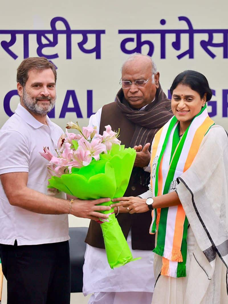 YS Sharmila joins Congress: Top 7 points on her political journey AJR