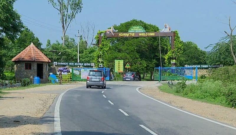 Tourists Rush to Visit to Bandipur National Park After PM Narendra Modi Visited in Chamarajanagara grg  