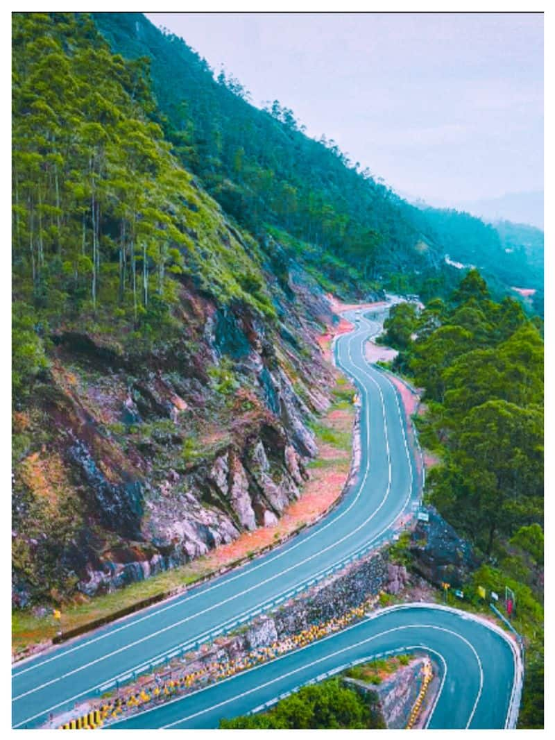 Specialties of Munnar Bodimettu Highway Stretch